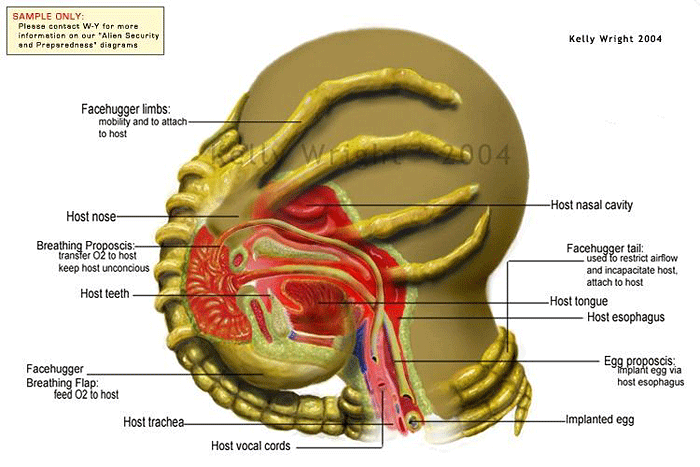 Facehugger