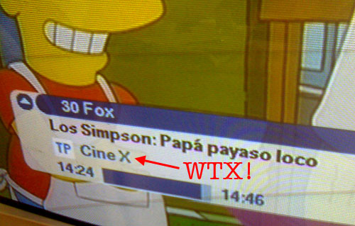 Los Simpson X Los Simpson X