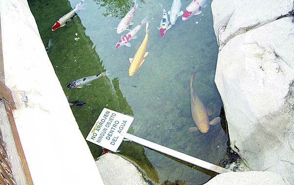 Cartel-No-Arrojar-Agua