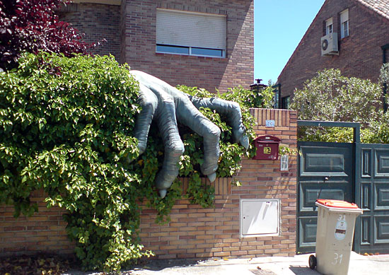Cuidado-Perro-Grandecito
