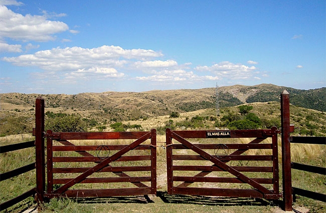 Elmasalla-Bosque