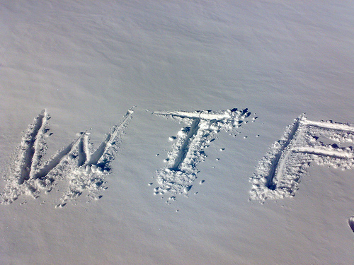 Feliz-Wtf-Nieve