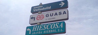 Guasa