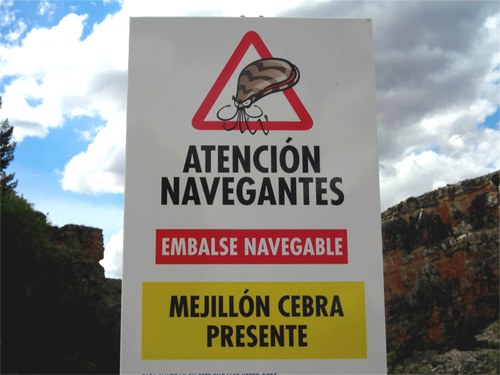 Cuidadín Mejillón Cebra Cuidadín Mejillón Cebra