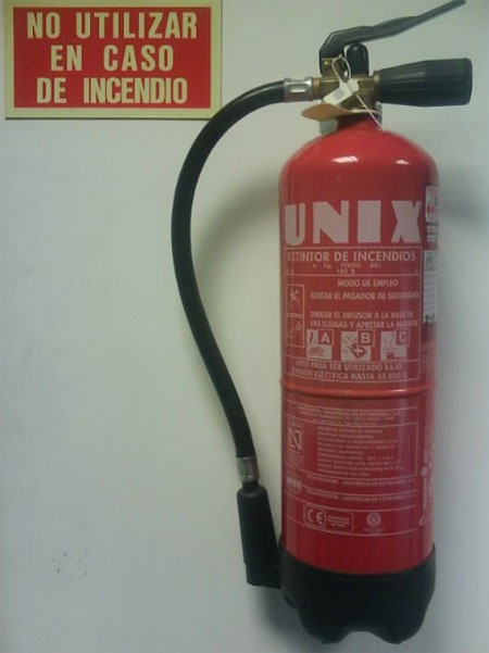 Imagen subida