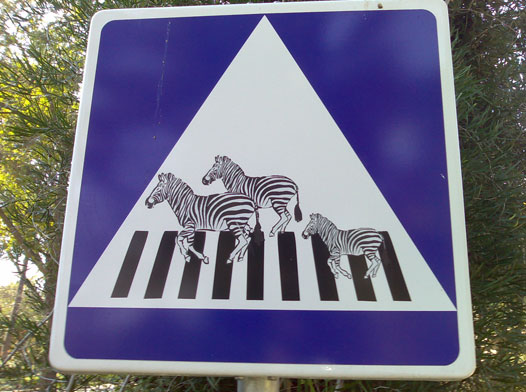 Paso de cebras