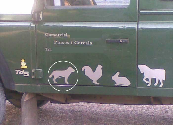 perrito-perrito-wtf.jpg