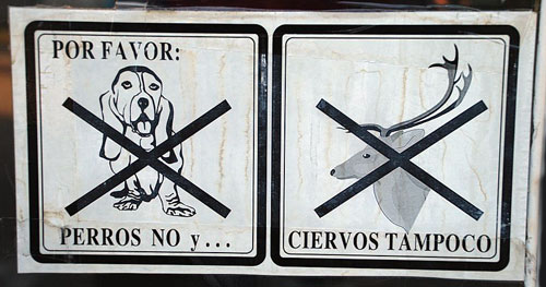 Perros-No-Ciervos-Tampoco