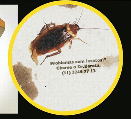 Publicidad Exterminador insectos Publicidad Exterminador insectos