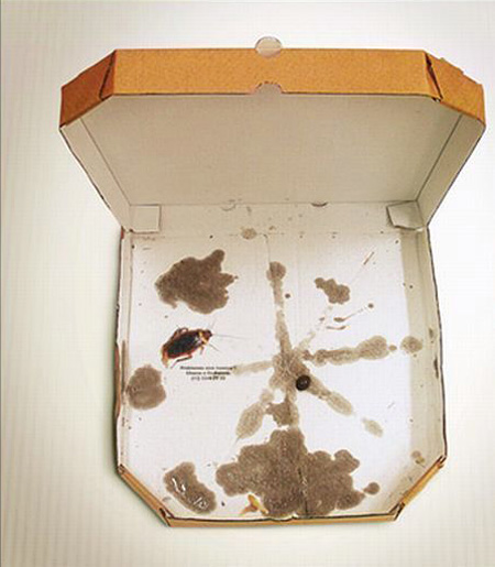 Publicidad Exterminador insectos Publicidad Exterminador insectos