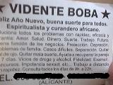 Vidente-Boba
