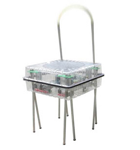 Walking Chair