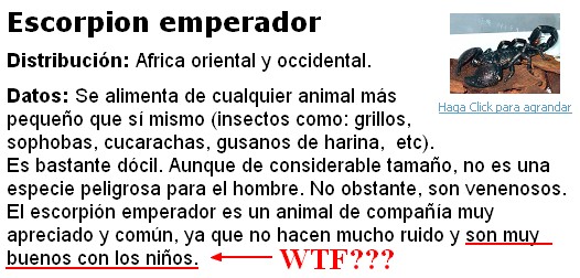 Wtf-Escorpion